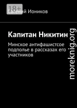 Капитан Никитин