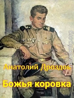 Божья коровка