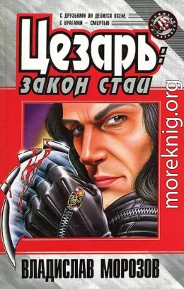 Закон стаи