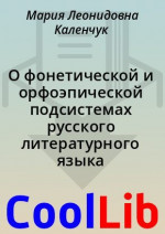 О фонетической и орфоэпической подсистемах русского литературного языка