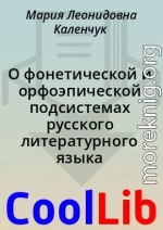 О фонетической и орфоэпической подсистемах русского литературного языка