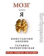 Мозг и его «Я». Кто мы? Откуда мы? Куда мы идем?