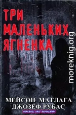 Три маленьких ягненка