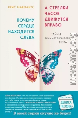 Почему сердце находится слева, а стрелки часов движутся вправо. Тайны асимметричности мира