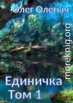 Единичка (СИ)