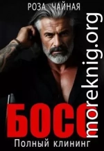 Босс. Полный клининг