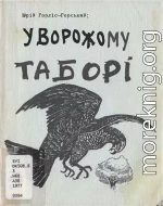 У ворожому таборі