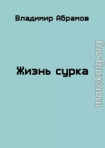 Жизнь сурка