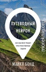 Путеводный нейрон. Как наш мозг решает пространственные задачи