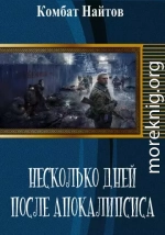 Несколько дней после апокалипсиса. [СИ]