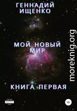 Мой новый мир. Книга 1