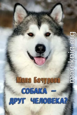 Собака — друг человека?