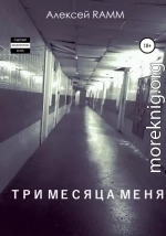 Три месяца меня