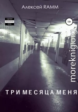 Три месяца меня