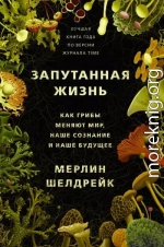 Запутанная жизнь. Как грибы меняют мир, наше сознание и наше будущее