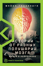 Истории от разных полушарий мозга. Жизнь в нейронауке