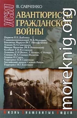 Авантюристы гражданской войны (историческое расследование)