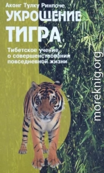 Укрощение тигра. Тибетское учение о совершенствовании повседневной жизни