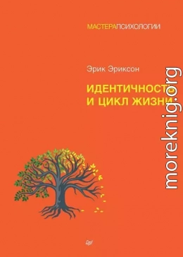 Идентичность и цикл жизни