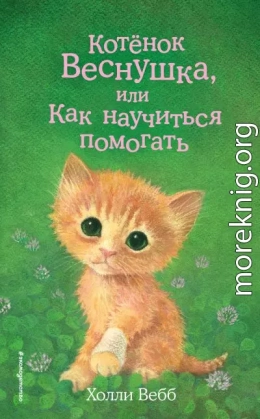 Котёнок Веснушка, или Как научиться помогать