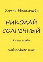 Николай Солнечный. Книга первая. Новогодняя ночь