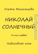 Николай Солнечный. Книга первая. Новогодняя ночь