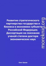 Развитие стратегического партнерства государства и бизнеса в экономике субъекта Российской Федерации. Диссертация на соискание ученой степени доктора экономических наук