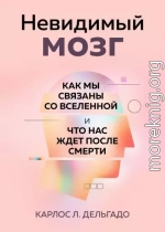 Невидимый мозг. Как мы связаны со Вселенной и что нас ждет после смерти