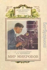 Мир микробов