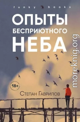 Опыты бесприютного неба