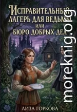 Исправительный лагерь для ведьмы или Бюро добрых дел
