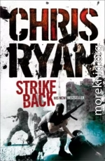 Ответный удар