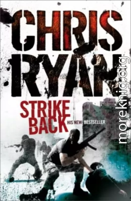 Ответный удар