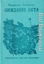 Ожидание лета [изд. 1981 г., худож. Ю. М. Шабанов]