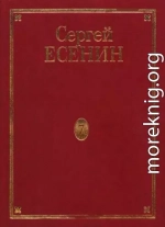 Том 7. Книга 3. Утраченное и ненайденное. Неосуществленные замыслы. Есенин в фотографиях. Канва жизни и творчества. Библиография. Указатели