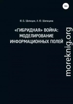 «Гибридная» война: Моделирование информационных полей