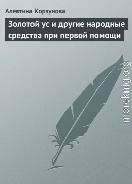 Золотой ус и другие народные средства при первой помощи