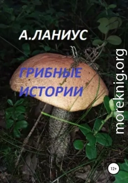 Грибные истории