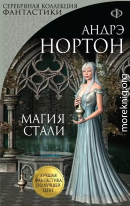 Магия стали. Магия восьмиугольного дома