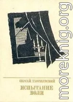 Испытание воли. Повесть о Петре Лаврове