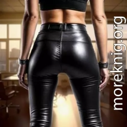 (СИ) Коллеги по работе. Часть 1