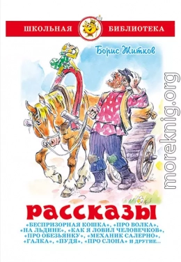 Рассказы