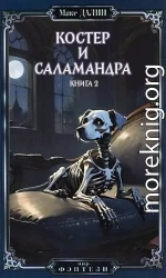 Костер и Саламандра. Книга вторая