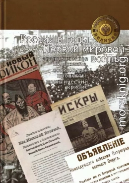 Россия в годы Первой мировой войны: экономическое положение, социальные процессы, политический кризис