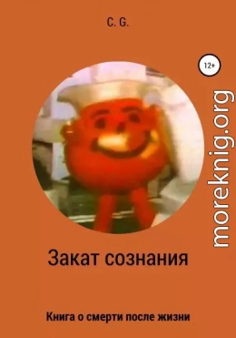 Закат сознания