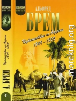 Путешествие по Африке (1849–1852)