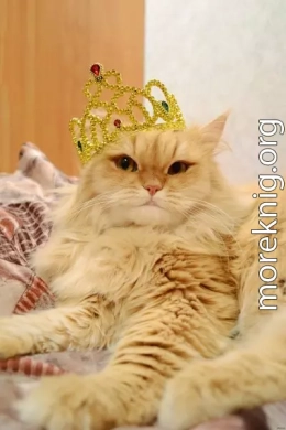 Необычные странности и странные необычности