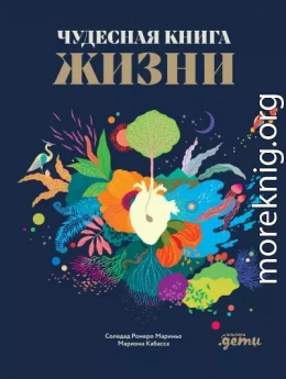 Чудесная книга жизни