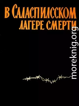 В Саласпилсском лагере смерти (сборник воспоминаний)