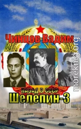 Назад в СССР. Шелепин-3